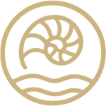 cropped-newlogo-icon.png